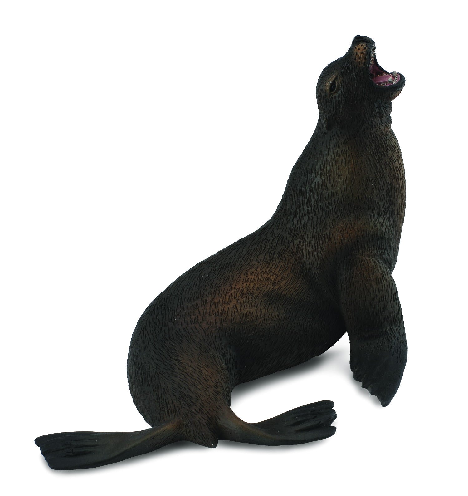 Sealion