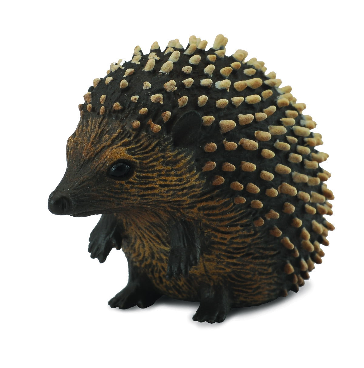 Hedgehog