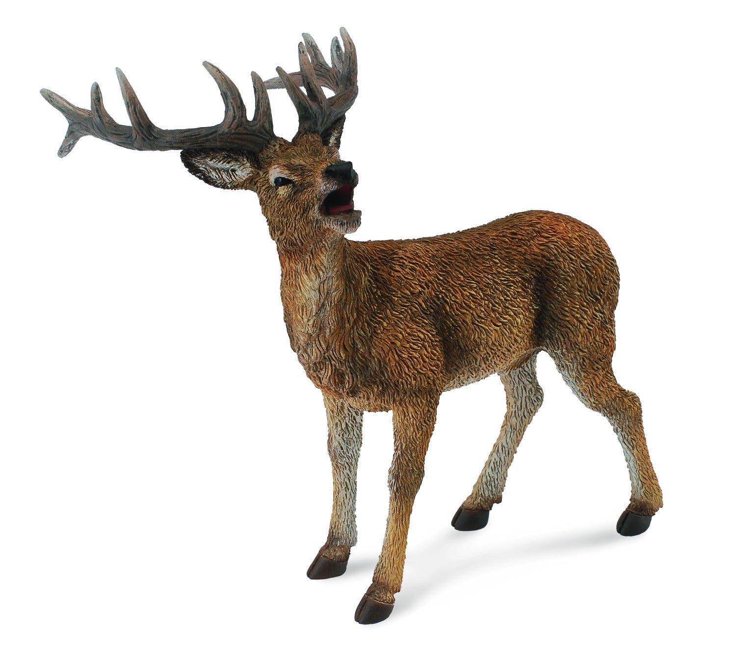 Red Deer Stag