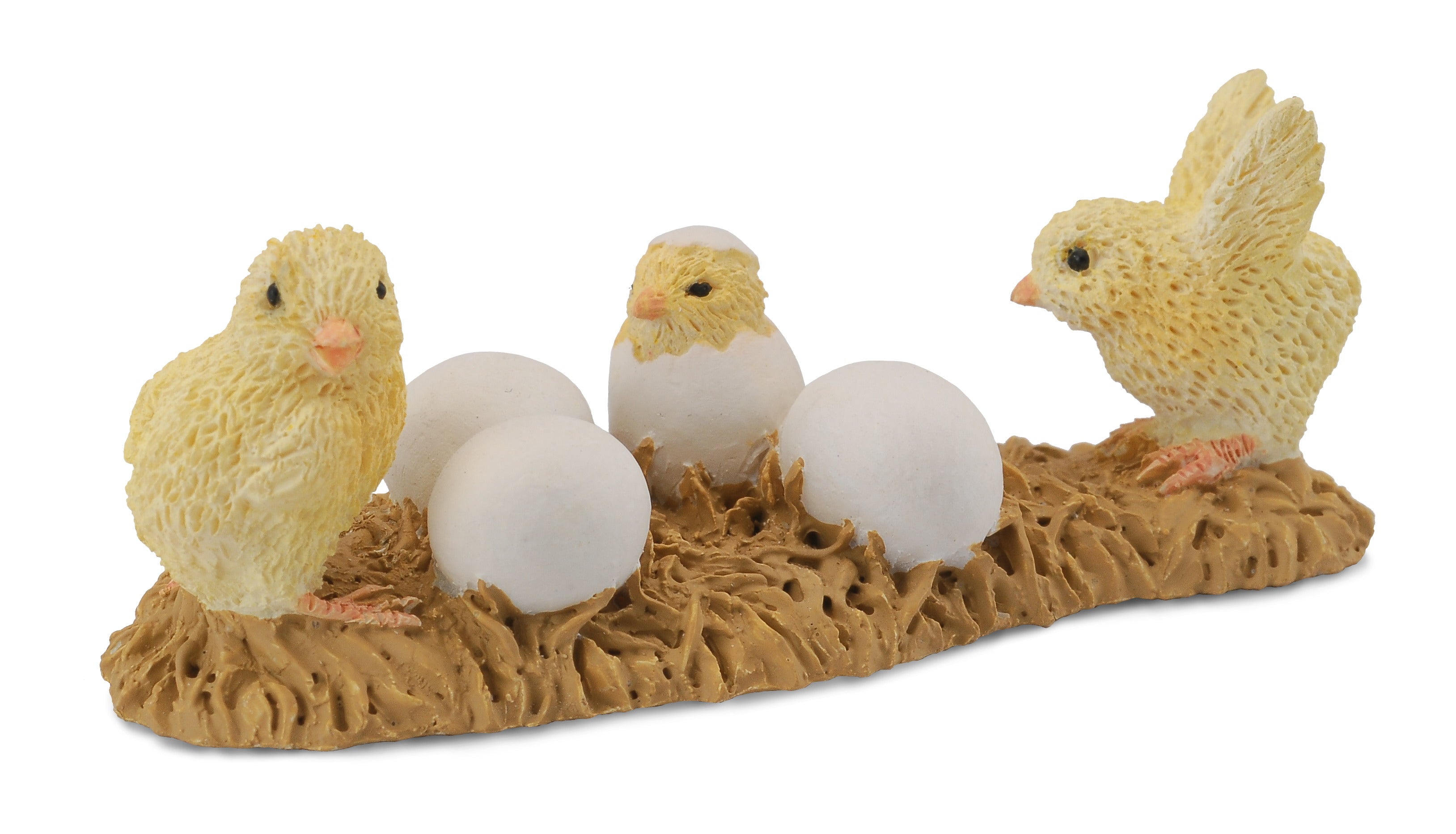 Hatching Chicks