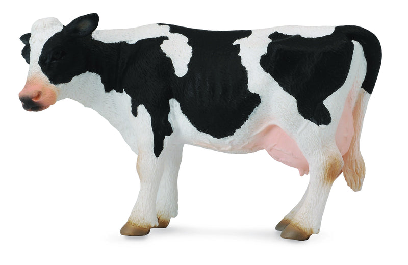 Freisian Cow