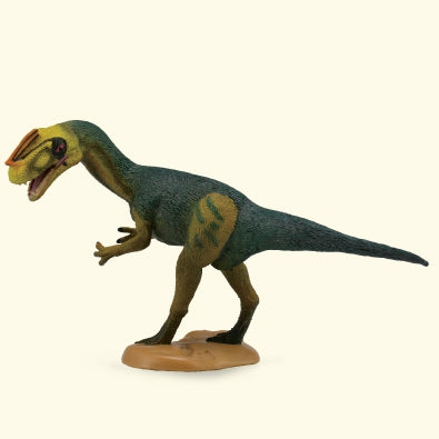 Proceratosaurus