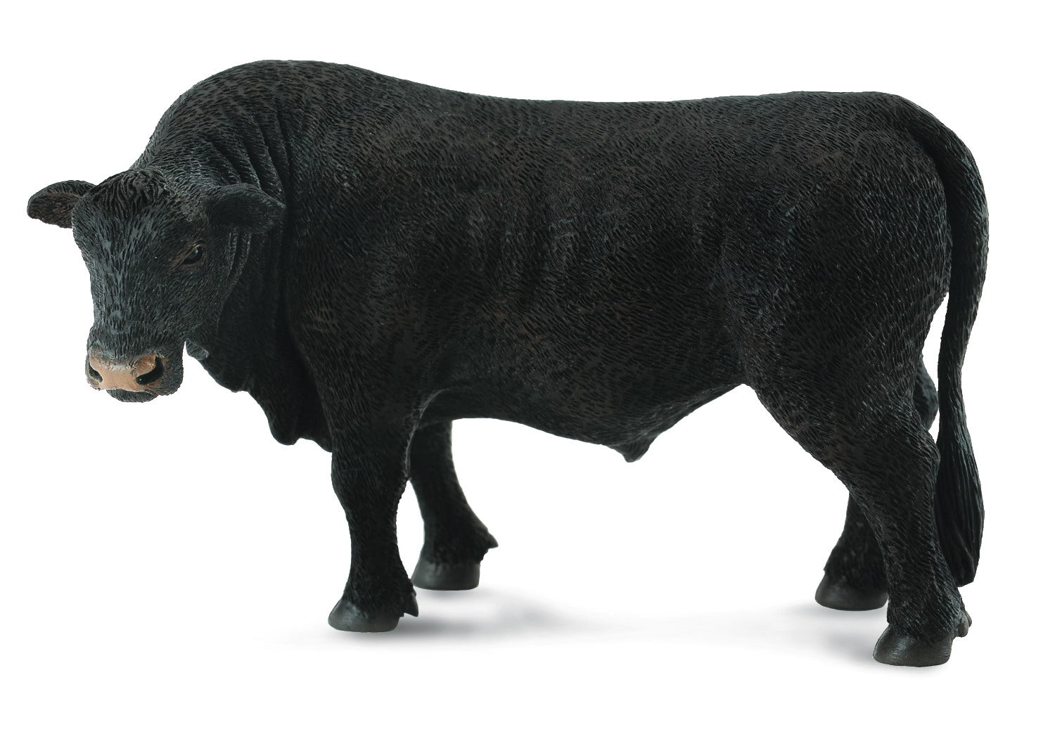 Black Angus Bull