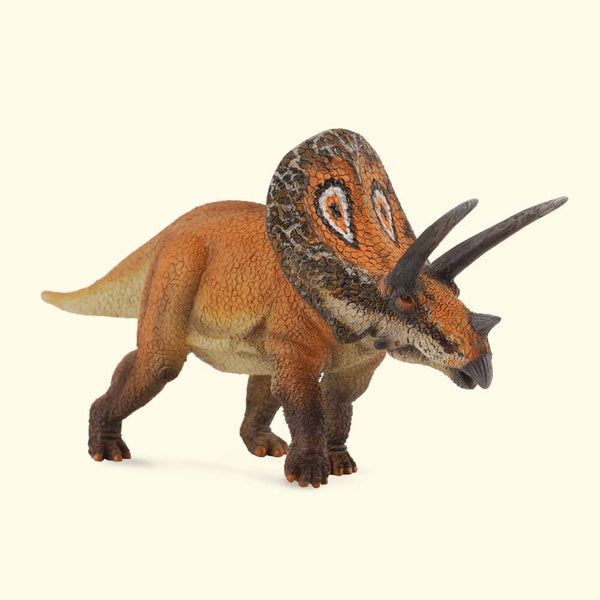 Torosaurus (L)