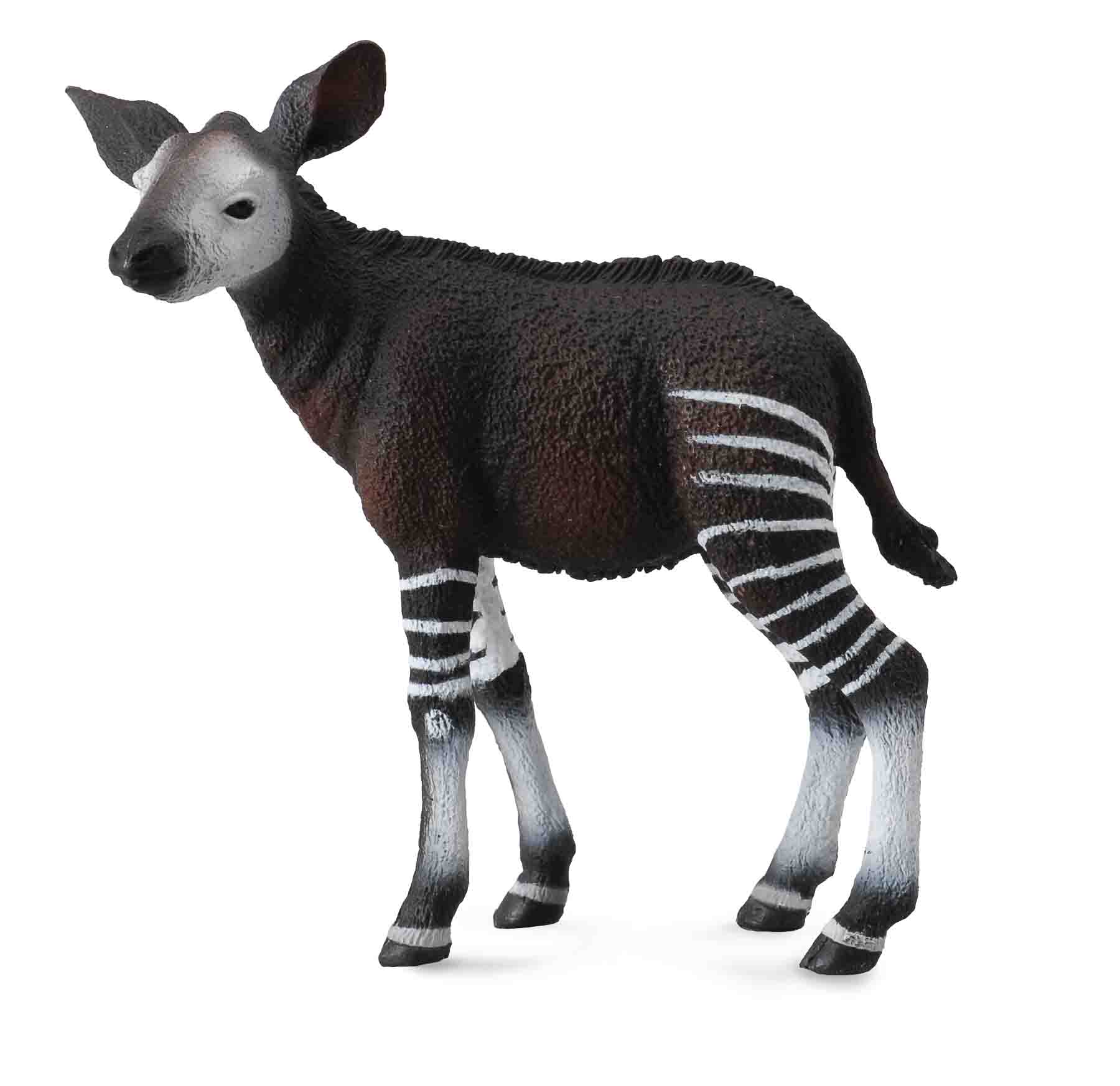 Okapi Calf