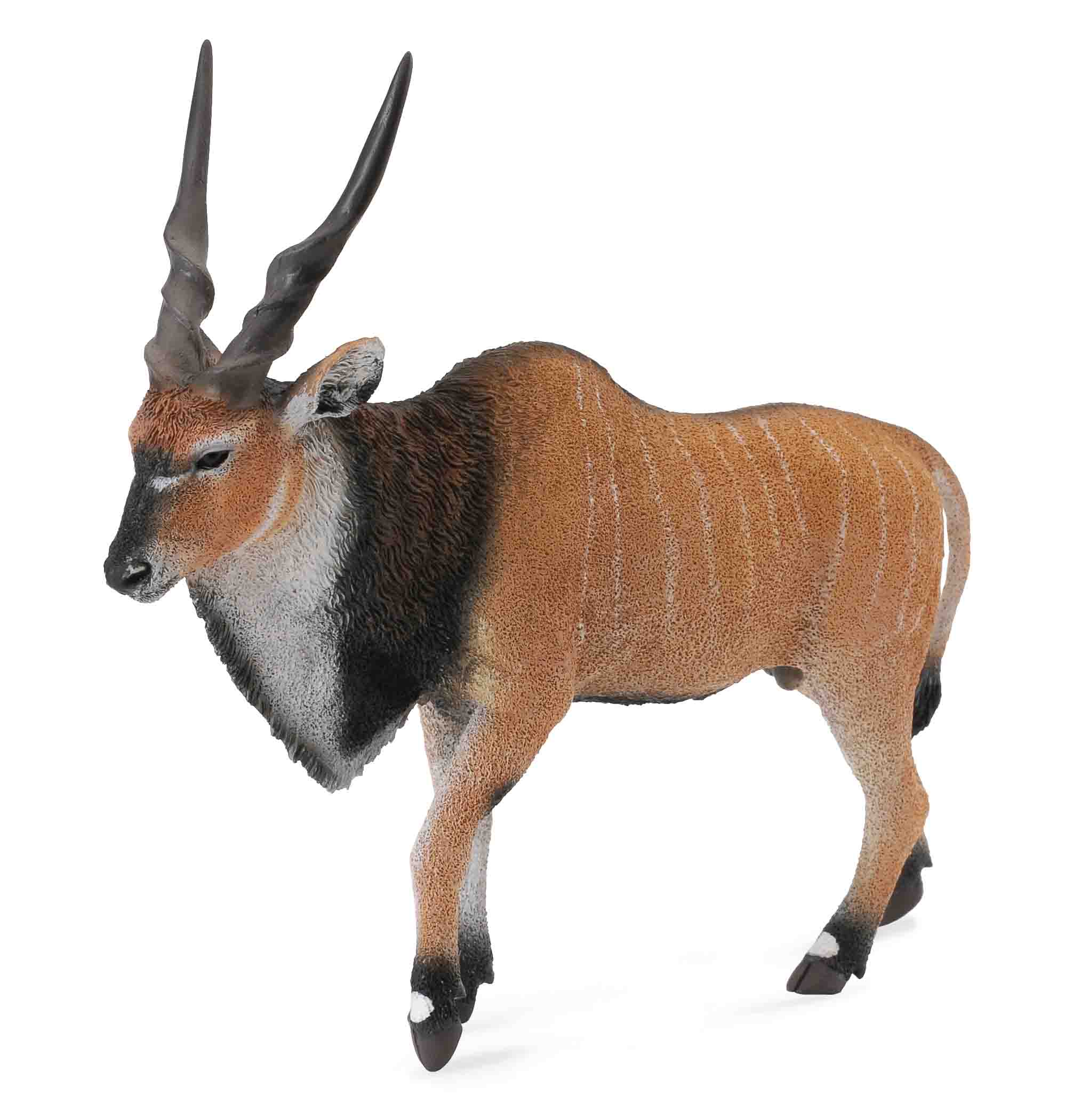 Giant Eland Antelope