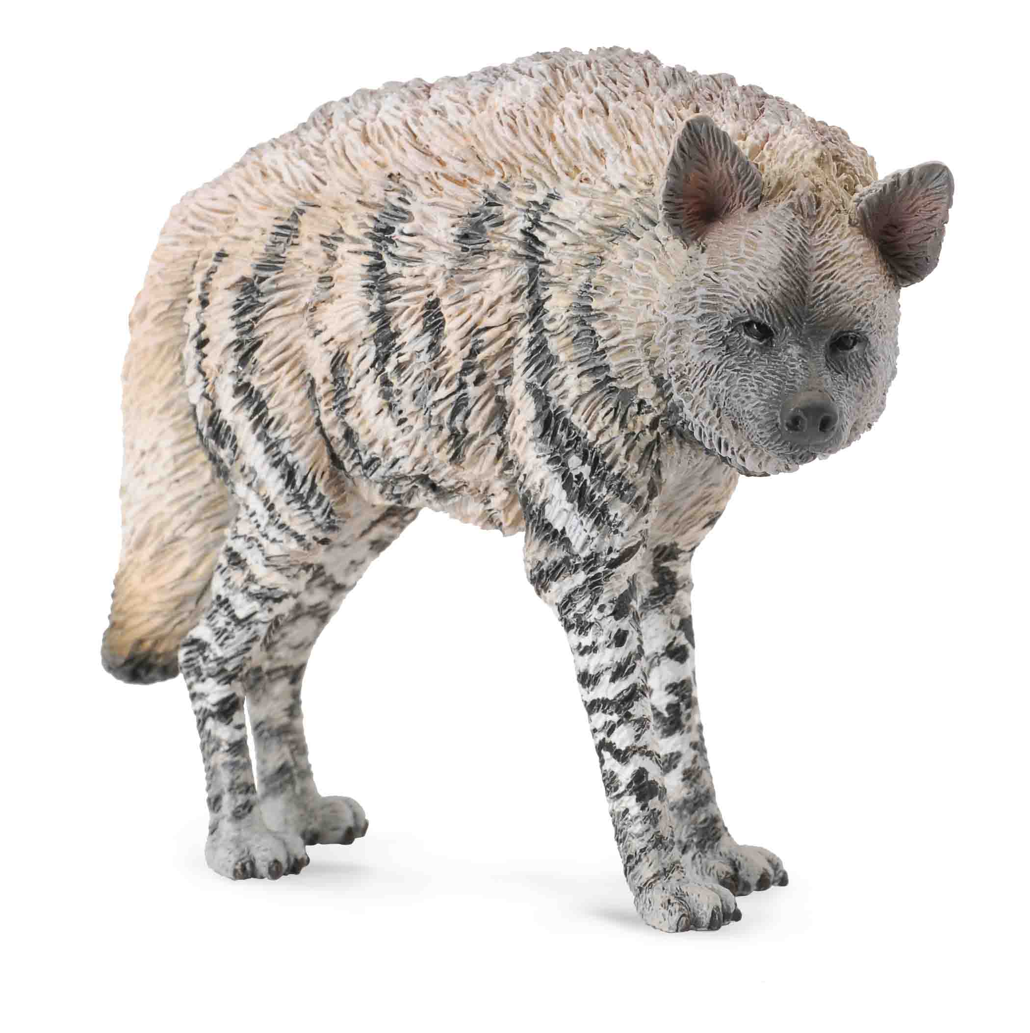 Striped Hyena