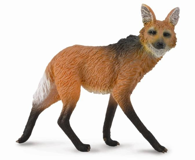 Maned Wolf