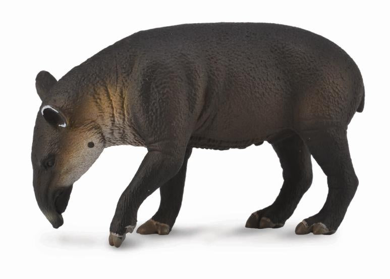 Bairds Tapir