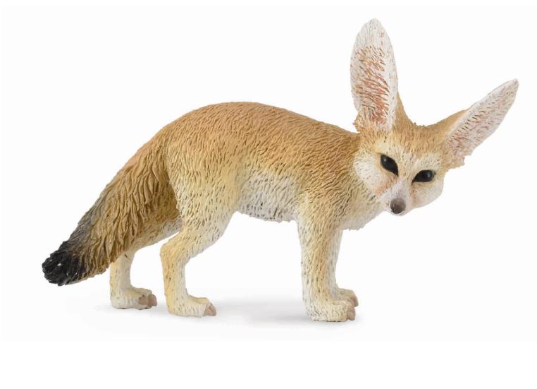 Fennec Fox