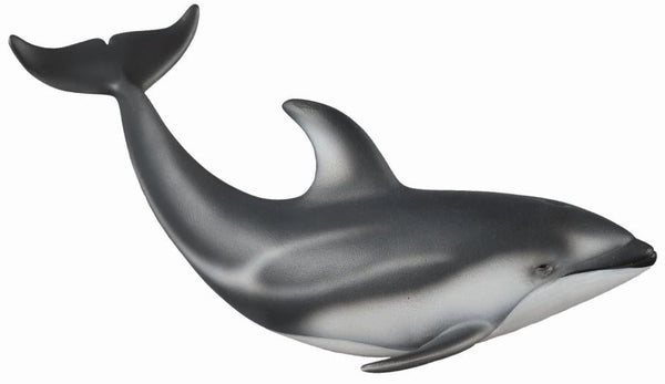 Pacific White-Sided Dolphin