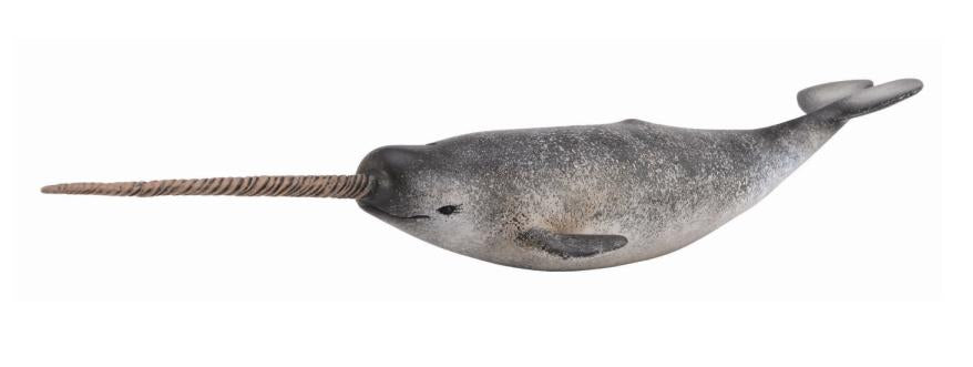 Narwhal