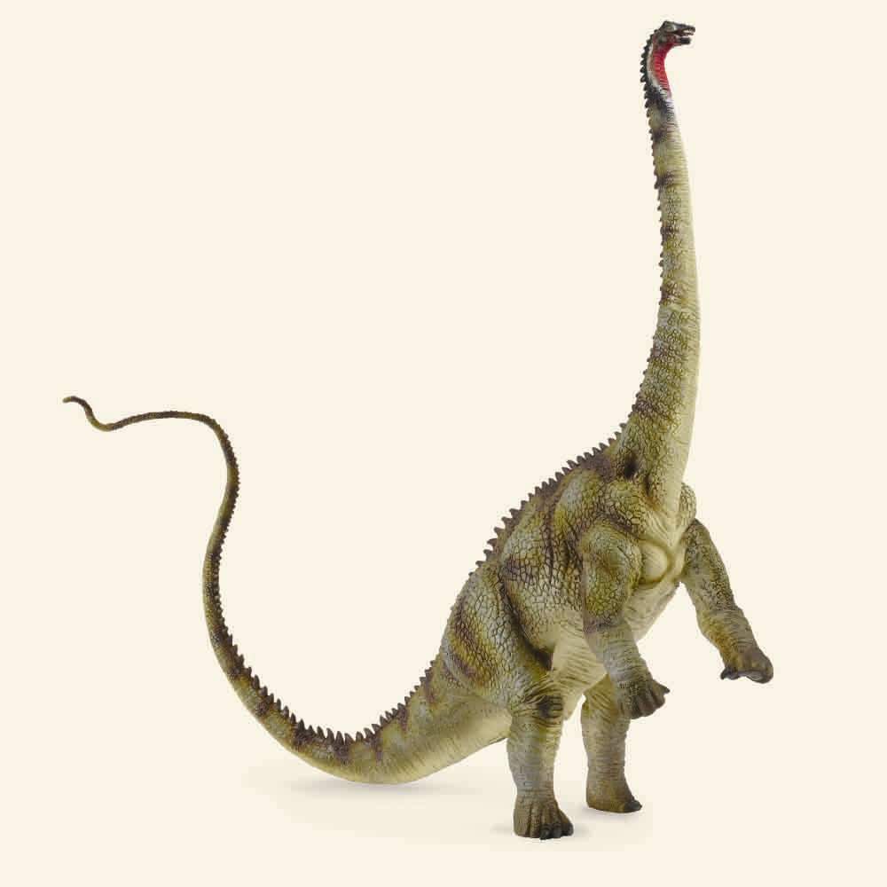 Diplodocus (Xl)