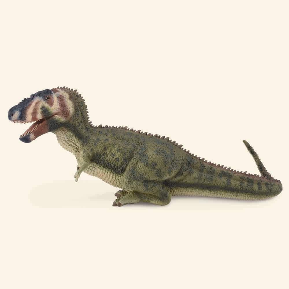 Daspletosaurus