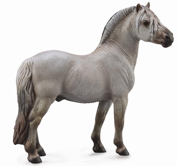 Fjord Stallion Grey