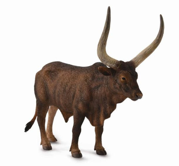 Ankol- Watusi Bull
