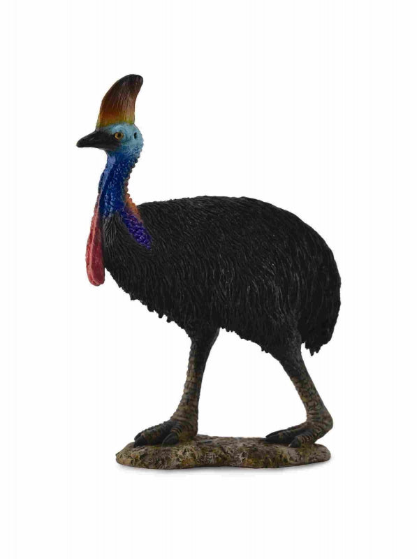 Cassowary