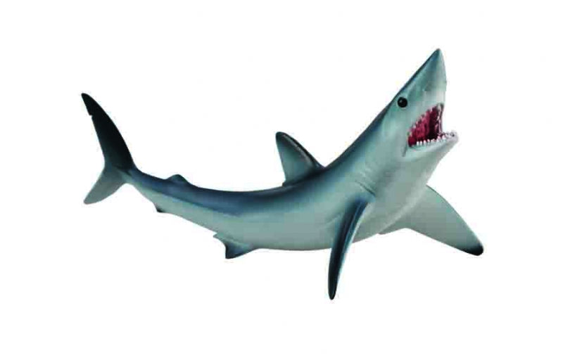 Short Fin Mako Shark