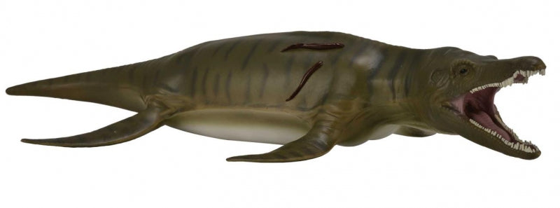 Pliosaurus