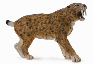 Smilodon