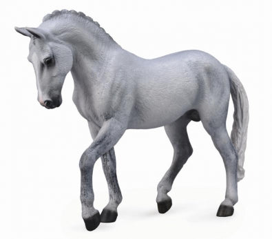 Trakehener Stallion Grey
