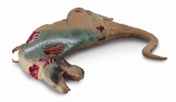 Tyrannosaurus Corpse