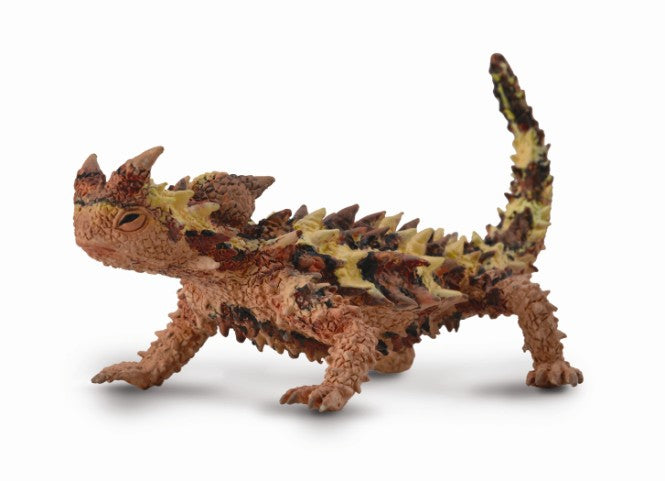 Thorny Devil