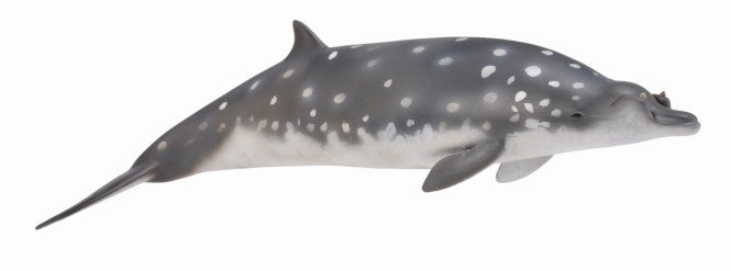 Blainvilles Beaked Whale