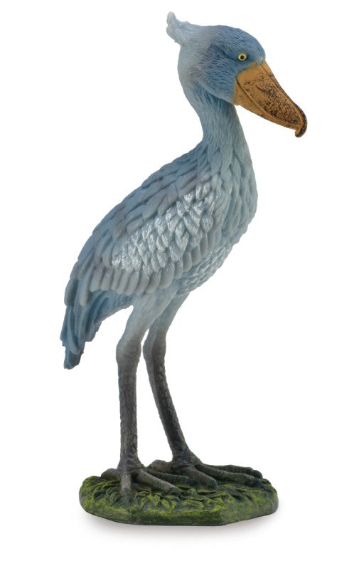 Shoebill