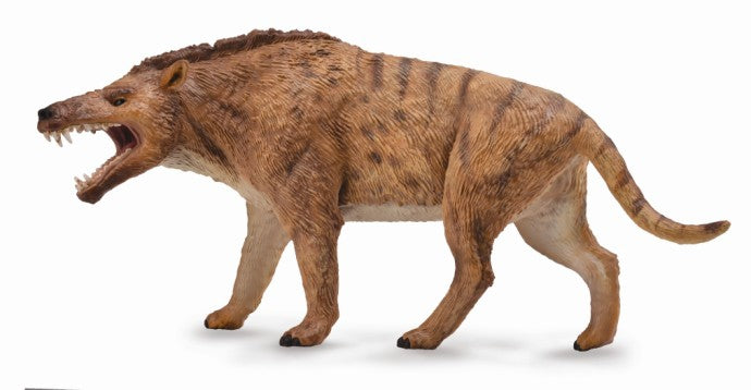 andrewsarchus