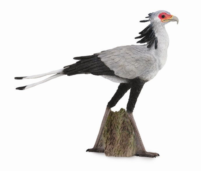 Secretary Bird