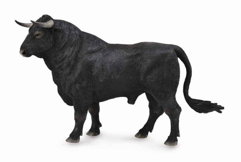 Spanish Fighting Bull Standing