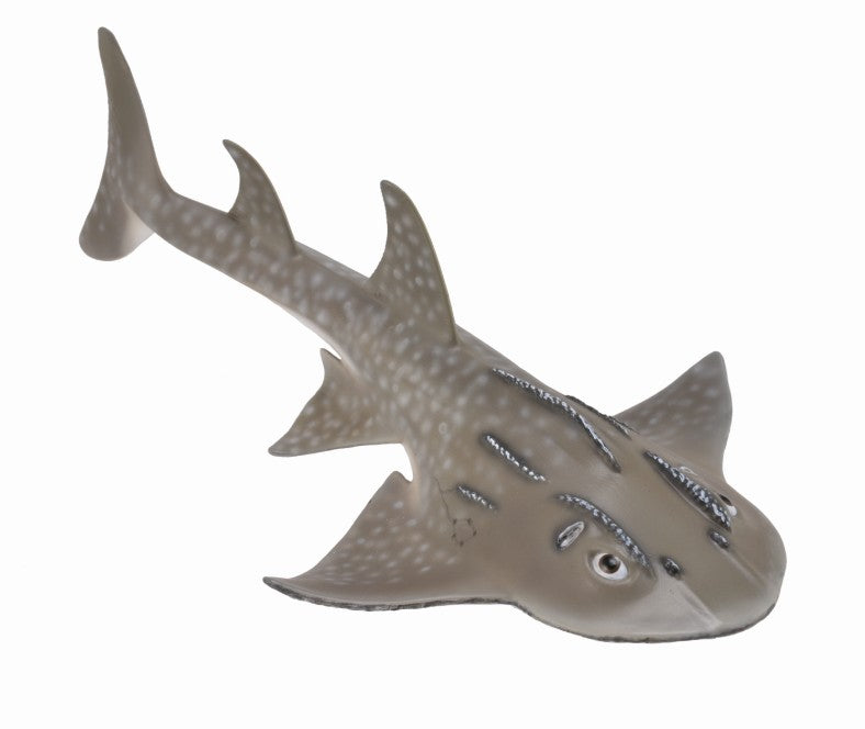 Shark Ray Bowmouth Guitarfish