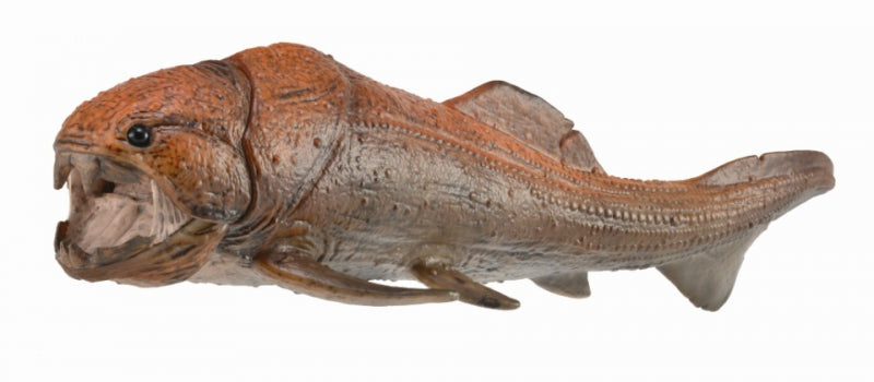 Dunkleosteus Dlx