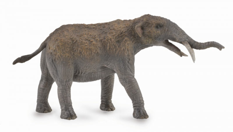 Gomphotherium Dlx