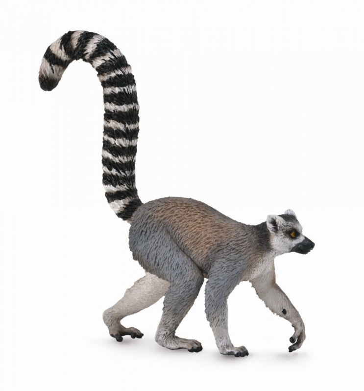 Ring Tailed Lemur