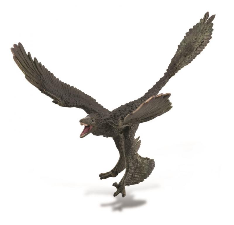 Microraptor