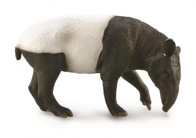 Malayan Tapir