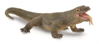 Komodo Dragon