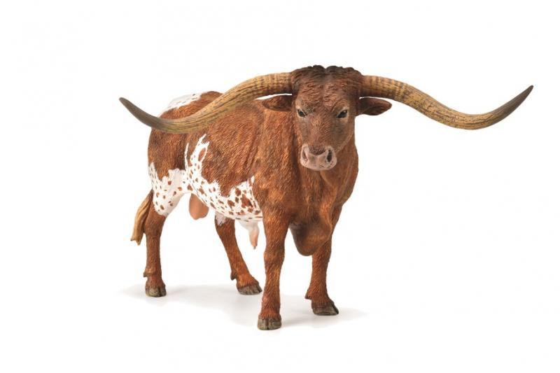 Texas Longhorn Bull