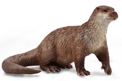 Common Otter