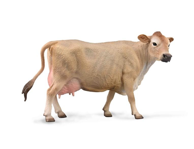 Jersey Cow