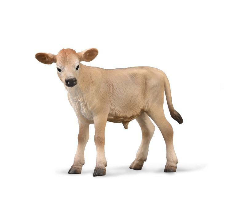 Jersey Calf