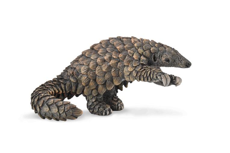 Pangolin