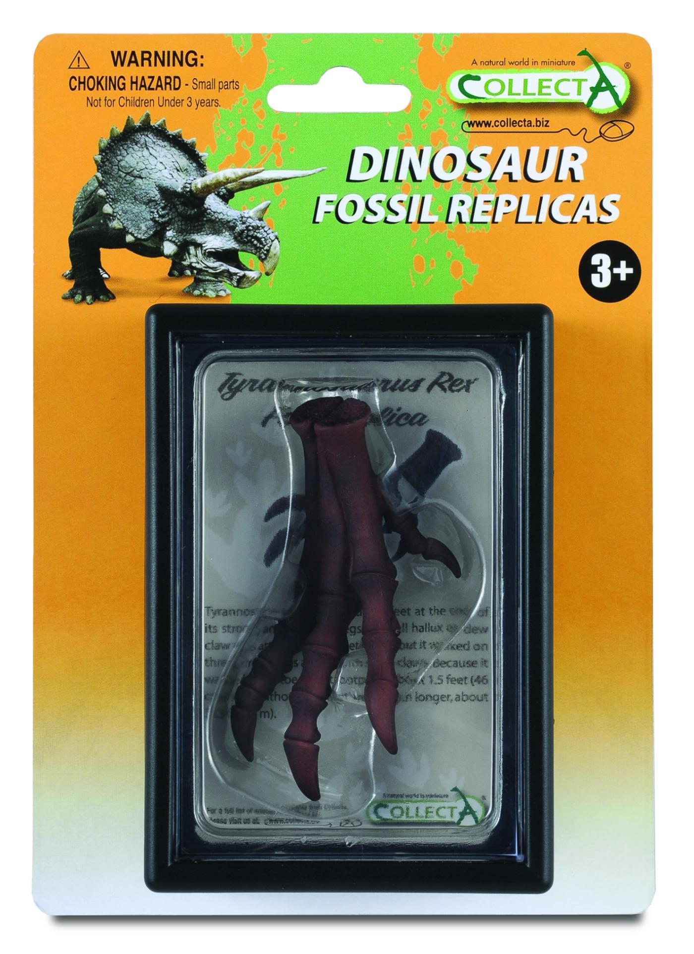 T Rex Foot Replica