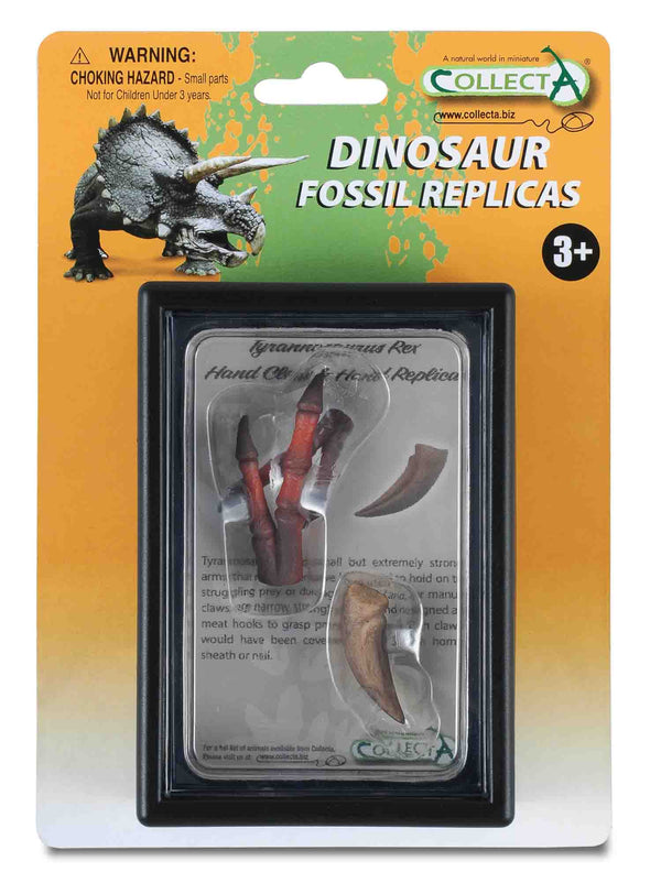 T Rex Claw and Hand