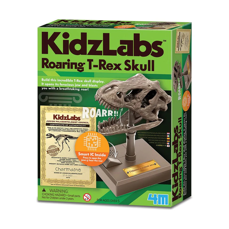 4M Kidzlabs Roaring T Rex Skull