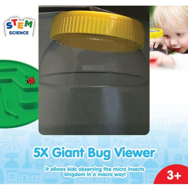 My First 5X Giant Bug Viewer