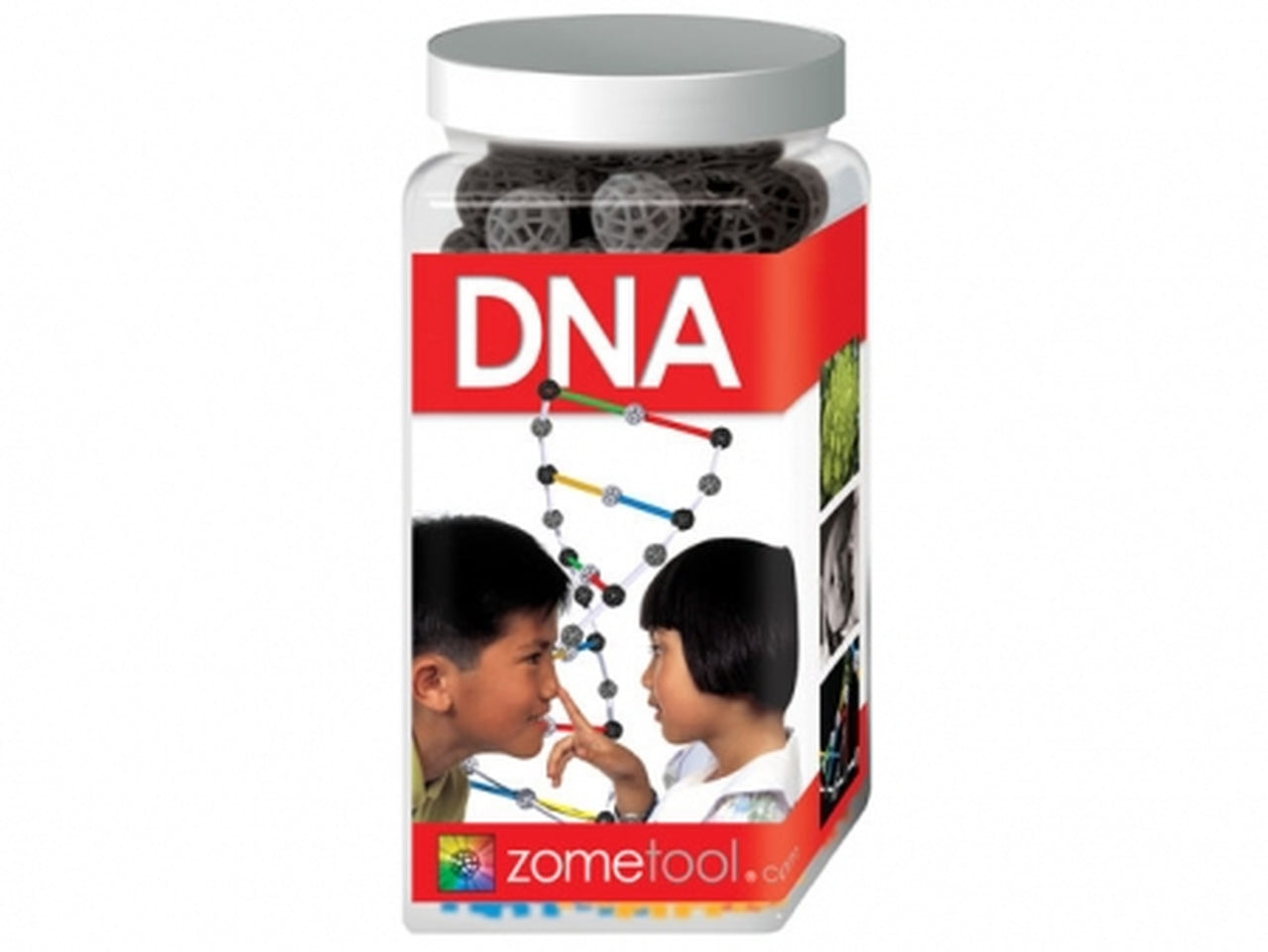 Dna Zometool