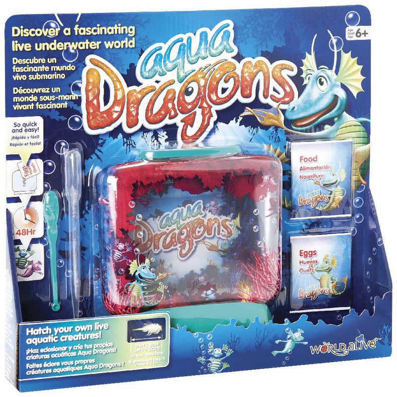 Aqua Dragon Underwater World
